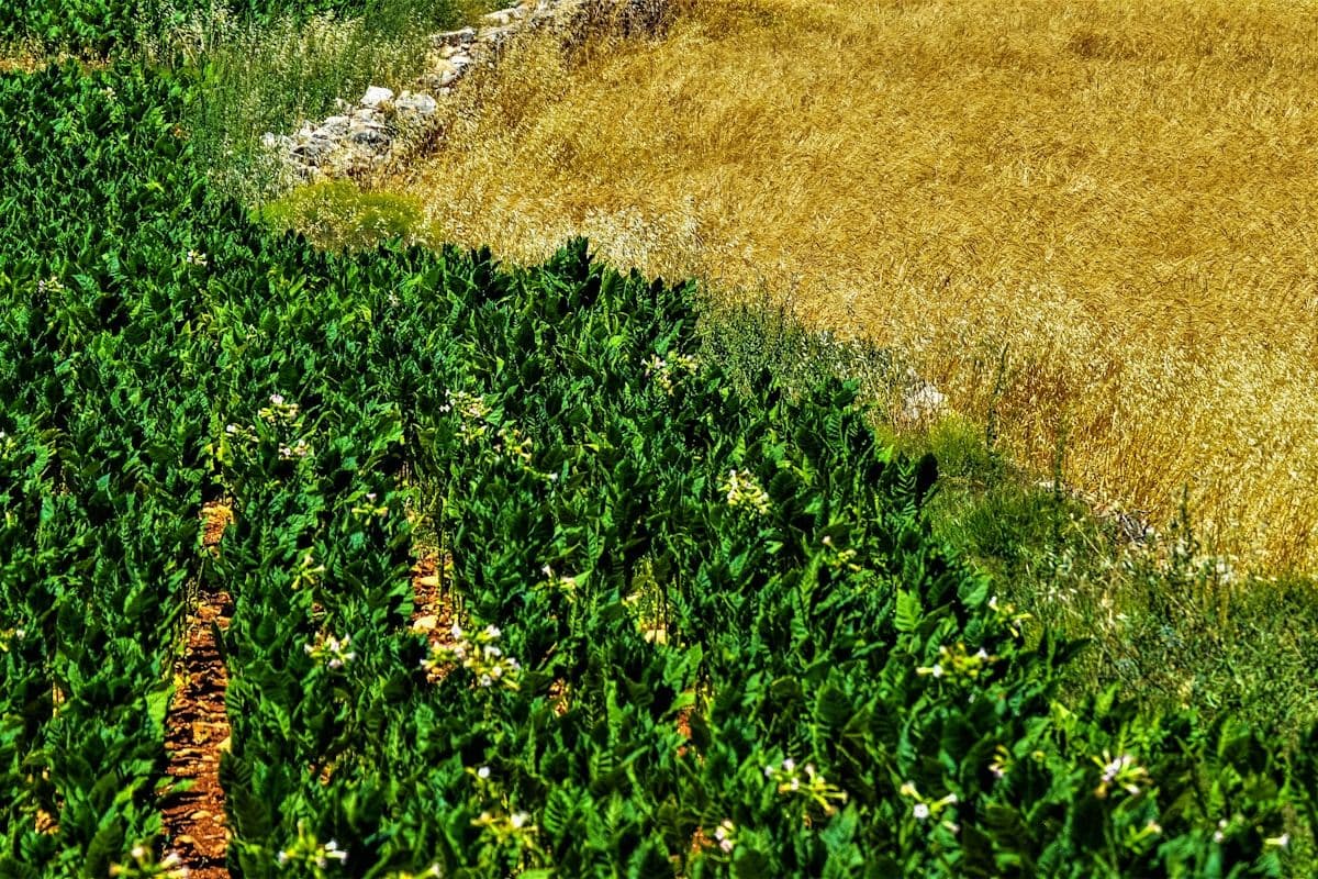 Weather monitoring dashboard